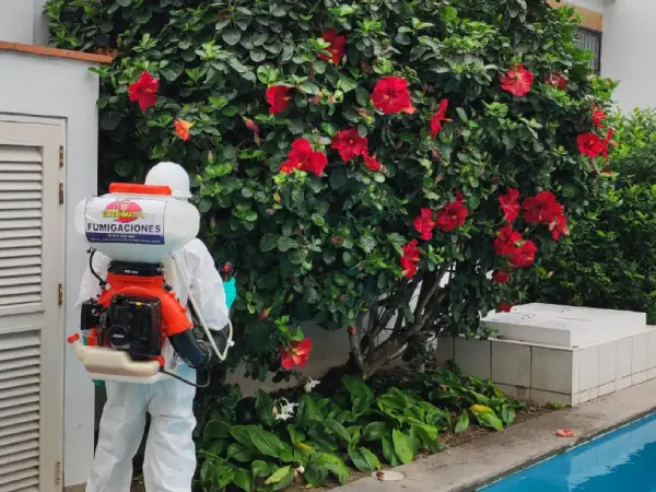 Servicio de Desinsectación