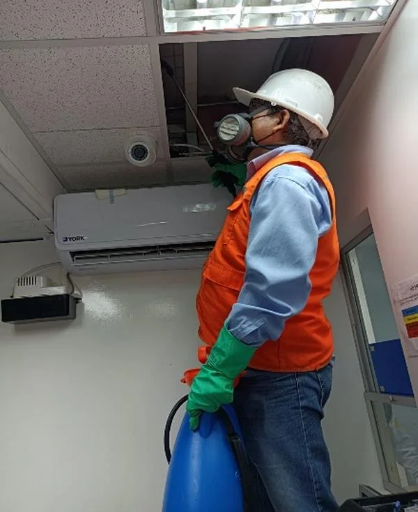 Técnico profesional realizando una inspección de plagas
