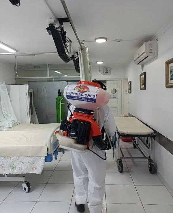 Servicio de Fumigación para Eliminar Insectos