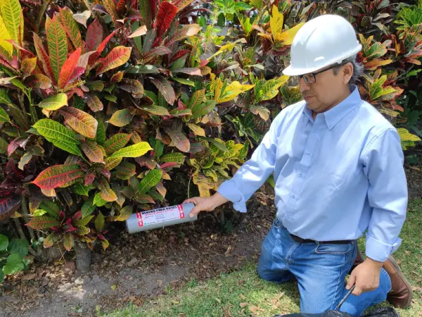 Servicio de Desratización